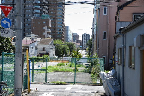 2020/8月 SIGMA17-70+D500 50mm F5.6 ss1/400 ISO560