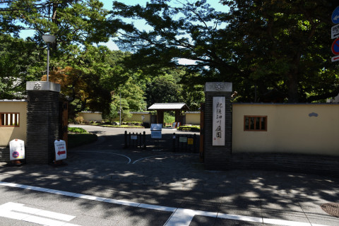 2020/8月 SIGMA17-70+D500 17mm F4.5 ss1/400 ISO500