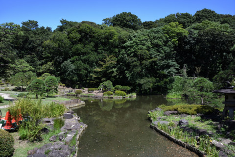 2020/8月 SIGMA17-70+D500 17mm F4.5 ss1/100 ISO110