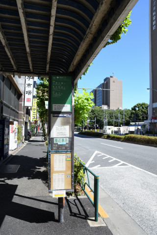 2020/8月 SIGMA17-70+D500 17mm F5.6 ss1/320 ISO125