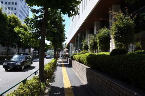 2020/8月 SIGMA17-70+D500 17mm F5.6 ss1/500 ISO200