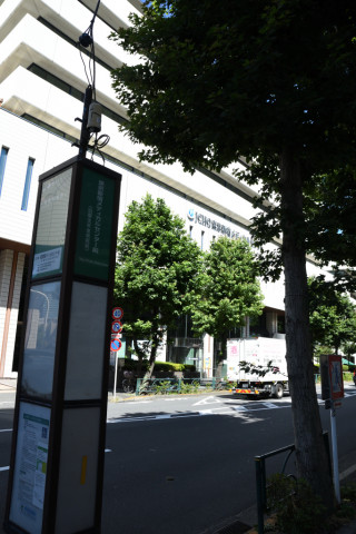 2020/8月 SIGMA17-70+D500 17mm F5.6 ss1/2000 ISO1000