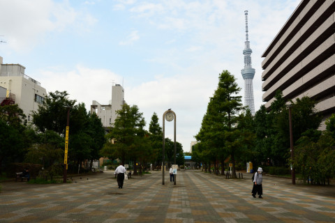 2020/10月 SIGMA17-70+D500 24mm F8 ss1/320 ISO100