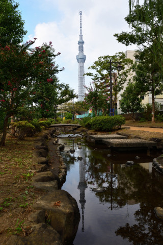 2020/10月 SIGMA17-70+D500 20mm F8 ss1/200 ISO100