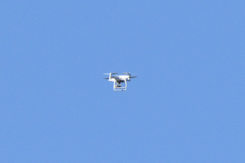 トリミング 2020/11月 SIGMA150-600C+D500 600mm F8 ss1/1250 ISO640 AF-C 25点