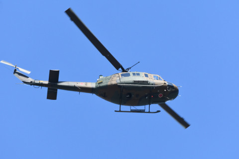 2020/11月 SIGMA150-600C+D500 600mm F8 ss1/1250 ISO1600 AF-C 25点