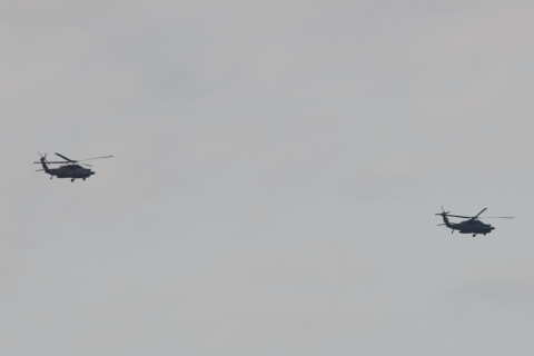 トリミング 2020/11月 SIGMA150-600C+D500 600mm F8 ss1/500 ISO220 AF-C 25点