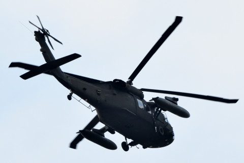 トリミング 2020/11月 SIGMA150-600C+D500 600mm F8 ss1/1250 ISO1800 AF-C 25点