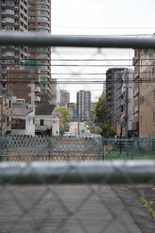 2021/4月 SIGMA17-70+D500 22mm F5.6 ss1/500 ISO100