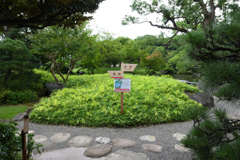 2021/7月 SIGMA17-70+D500 17mm F5.6 ss1/320 ISO900