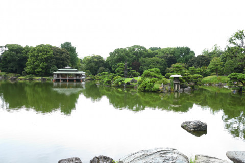 2021/7月 SIGMA17-70+D500 17mm F5.6 ss1/320 ISO900