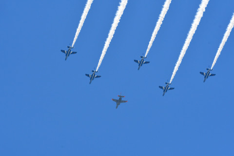 2021/7月 SIGMA150-600C+D500 250mm F8 ss1/1250 ISO720 AF-C 25点