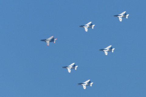 トリミング 2021/7月 SIGMA150-600C+D500 600mm F8 ss1/1250 ISO500 AF-C 25点