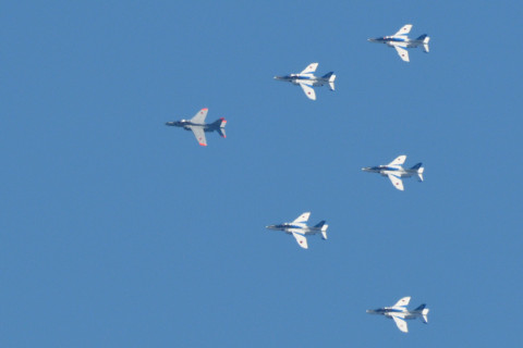 トリミング 2021/7月 SIGMA150-600C+D500 600mm F8 ss1/1250 ISO500 AF-C 25点