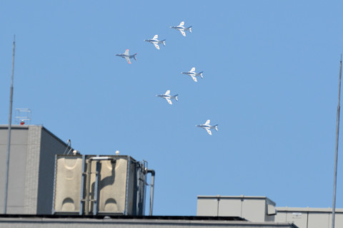 トリミング 2021/7月 SIGMA150-600C+D500 500mm F8 ss1/1250 ISO450 AF-C 25点