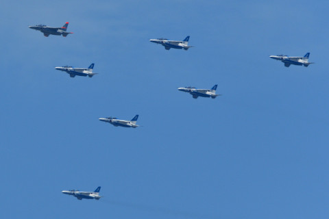 トリミング 2021/7月 SIGMA150-600C+D500 600mm F8 ss1/1250 ISO450 AF-C 25点