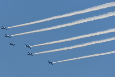 トリミング 2021/7月 SIGMA150-600C+D500 600mm F8 ss1/1250 ISO280 AF-C 25点