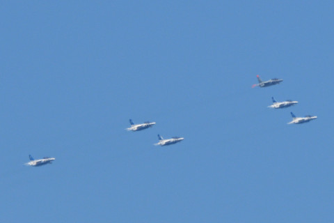 トリミング 2021/7月 SIGMA150-600C+D500 600mm F8 ss1/1250 ISO500 AF-C 25点