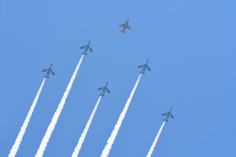 トリミング 2021/7月 SIGMA150-600C+D500 170mm F8 ss1/1250 ISO640 AF-C 25点