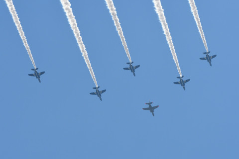 トリミング 2021/7月 SIGMA150-600C+D500 195mm F8 ss1/1250 ISO320 AF-C 25点