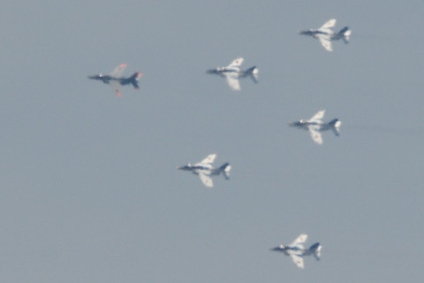 トリミング 2021/7月 SIGMA150-600C+D500 600mm F8 ss1/1250 ISO360 AF-C 25点