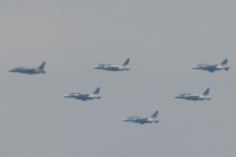 トリミング 2021/7月 SIGMA150-600C+D500 600mm F8 ss1/1250 ISO320 AF-C 25点