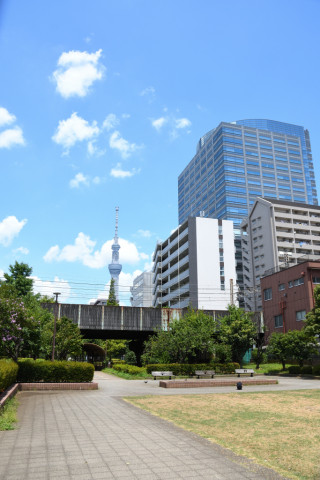 2021/7月 SIGMA17-70+D500 20mm F5.6 ss1/500 ISO140