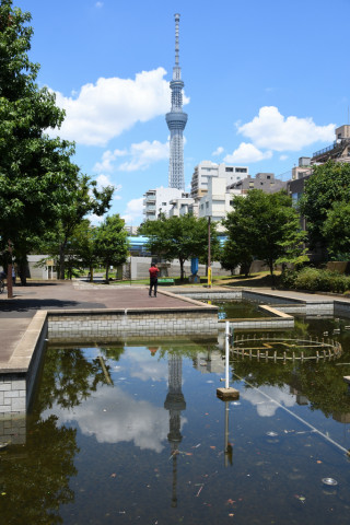 2021/7月 SIGMA17-70+D500 24mm F5.6 ss1/500 ISO100