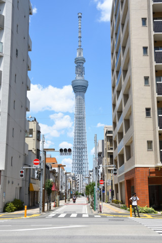 2021/7月 SIGMA17-70+D500 31mm F5.6 ss1/500 ISO100