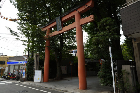 2021/8月 SIGMA17-70+D500 17mm F5 ss1/2500 ISO1400