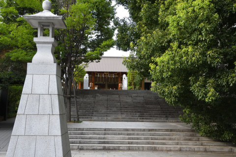 2021/8月 SIGMA17-70+D500 28mm F5 ss1/2500 ISO2800