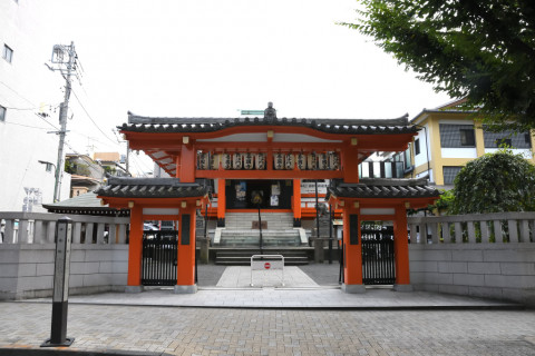 2021/8月 SIGMA17-70+D500 17mm F8 ss1/320 ISO4000