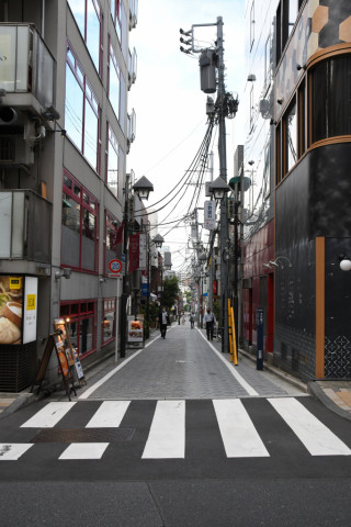 2021/8月 SIGMA17-70+D500 24mm F8 ss1/320 ISO450