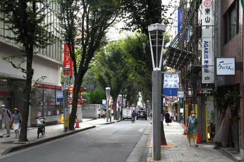 2021/8月 SIGMA17-70+D500 38mm F5.6 ss1/250 ISO1800