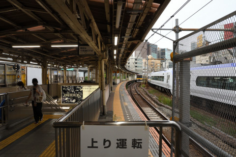 2021/8月 SIGMA17-70+D500 17mm F8 ss1/200 ISO2000