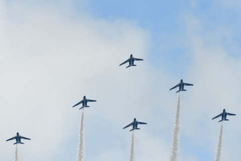 トリミング 2021/8月 SIGMA150-600C+D500 420mm F6.3 ss1/800 ISO100 AF-C シングル