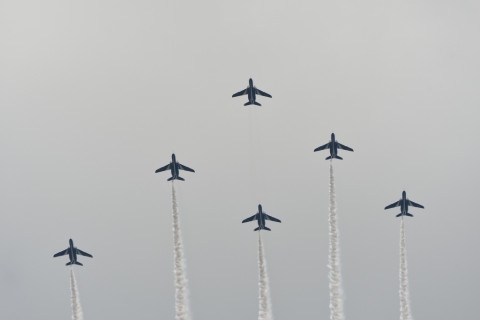 2021/8月 SIGMA150-600C+D500 360mm F6.3 ss1/800 ISO100 AF-C シングル