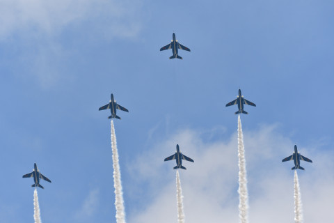 2021/8月 SIGMA150-600C+D500 320mm F6.3 ss1/800 ISO100 AF-C シングル