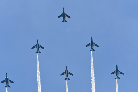 2021/8月 SIGMA150-600C+D500 250mm F6.3 ss1/800 ISO140 AF-C シングル