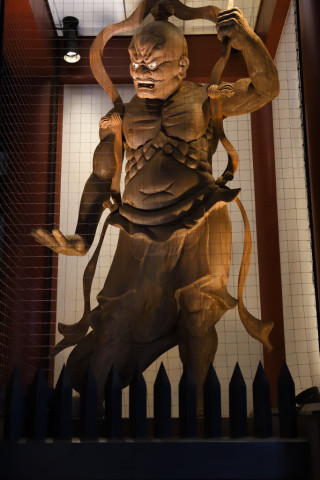 トリミング 2021/8月 SIGMA17-70+D500 31mm F4 ss1/100 ISO4000 