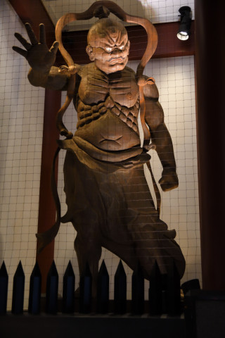 トリミング 2021/8月 SIGMA17-70+D500 34mm F4 ss1/100 ISO2500