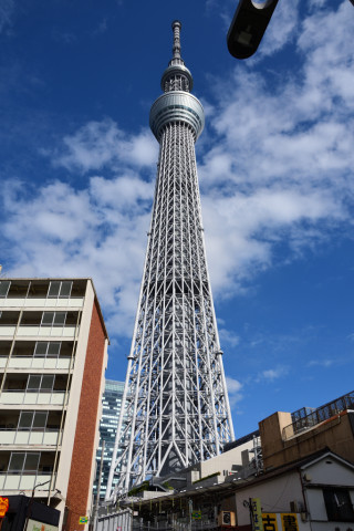 2021/9月 SIGMA17-70+D500 17mm F5 ss1/1250 ISO100