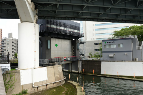 2021/9月 SIGMA17-70+D500 20mm F5 ss1/1250 ISO1400