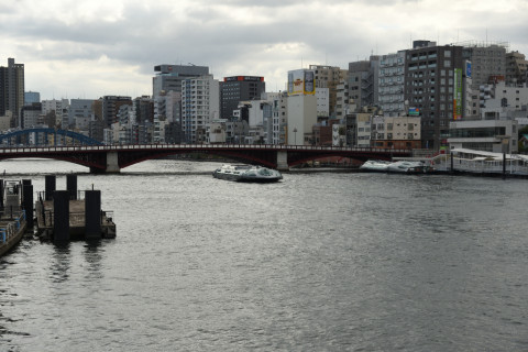 2021/9月 SIGMA17-70+D500 45mm F5 ss1/1250 ISO180