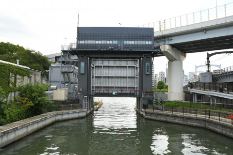 2021/9月 SIGMA17-70+D500 17mm F5 ss1/1250 ISO900