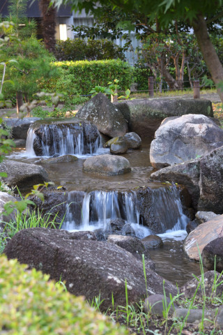 2021/9月 SIGMA17-70+D500 70mm F5.6 ss1/13 ISO125