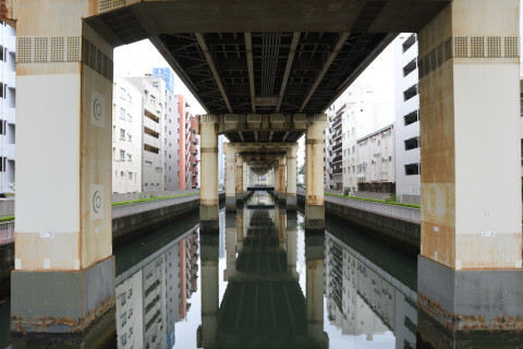 トリミング 2021/9月 SIGMA17-70+D500 17mm F5.6 ss1/40 ISO100