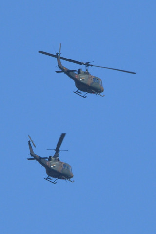 トリミング 2021/10月 SIGMA150-600C+D500 600mm F8 ss1/1250 ISO450 AF-C 25点