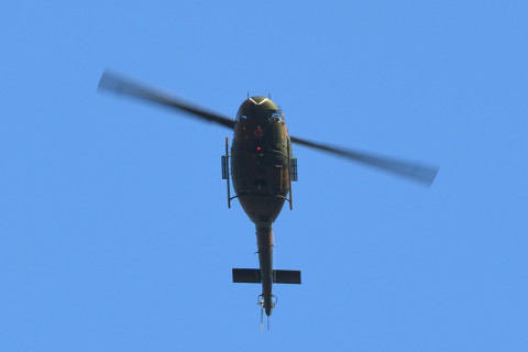 トリミング 2021/10月 SIGMA150-600C+D500 210mm F8 ss1/200 ISO280 AF-C 25点