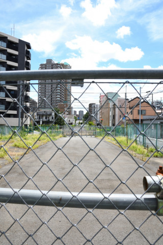 2022/8月 SIGMA17-70+D500 17mm F8 ss1/200 ISO160